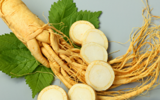 Panax Ginseng